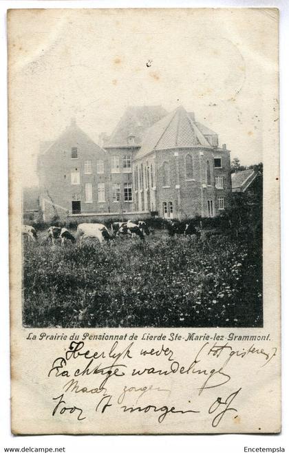 CPA -  Carte Postale - Belgique - La Prairie du Pensionnat de Lierde Ste Marie lez Grammont - 1905 (BR14465)