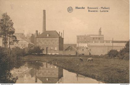 HAECHT. HAACHT. BROUWERIJ. MELKERIJ