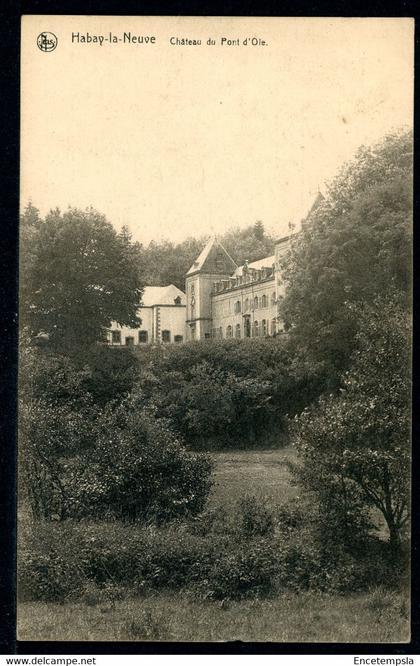 CPA - Carte Postale - Belgique - Habay la Neuve - Château du Pont d'Oie - 1924 (CP19171)