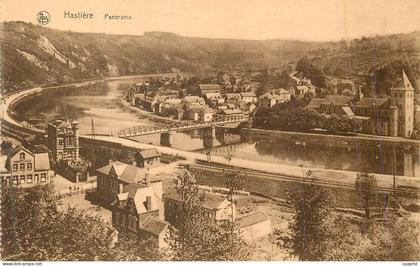 CPA Hastiere Panorama Vues Choisies de la Vallee de la Meuse
