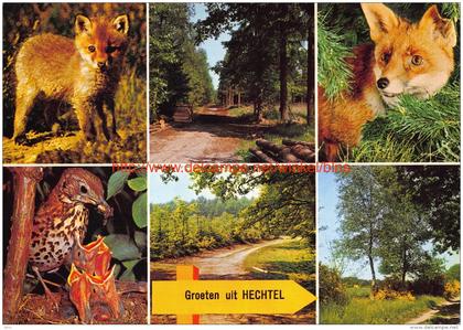 Groeten uit Â… - Hechtel-Eksel
