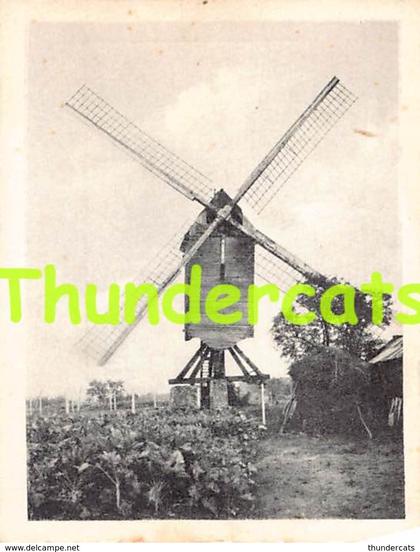 CHROMO HERENTHOUT DE MOLEN MOULIN 9 X 7