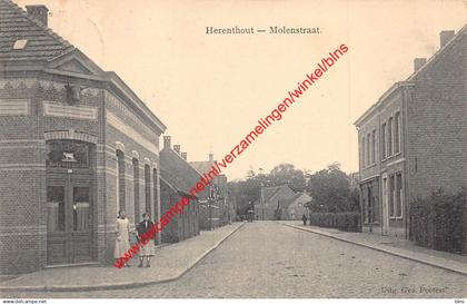 Molenstraat - Herenthout