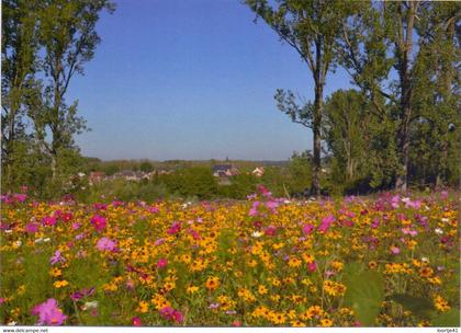 PK - Hoeselt - zijpad Goosstraat - foto Els Hellinx
