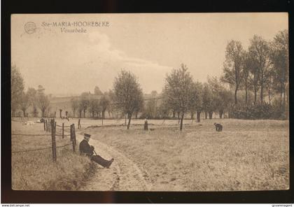 STE MARIA HOOREBEKE        VOSSEBEKE