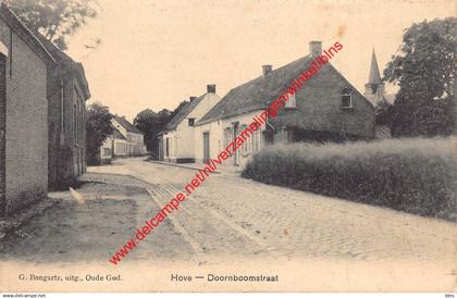 Doornboomstraat - Hove