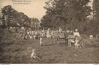 INCOURT. PIETREBAIS. SANATORIUM DE LA CHISE. UNE PELOUSE DE JEUX. BELLE ANIMATION AVEC ENFANTS ET ANE