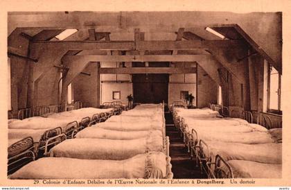 DONGELBERG / COLONIE