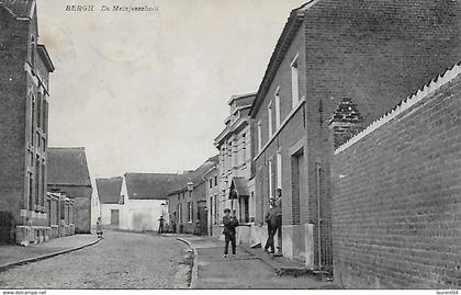 KAMPENHOUT.  BERGH.  DE MEISJESCHOOL. ANIMATION.