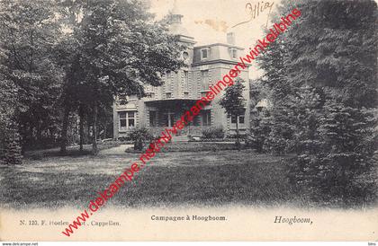Hoogboom - Campagne - F. Hoelen 120 - Kapellen