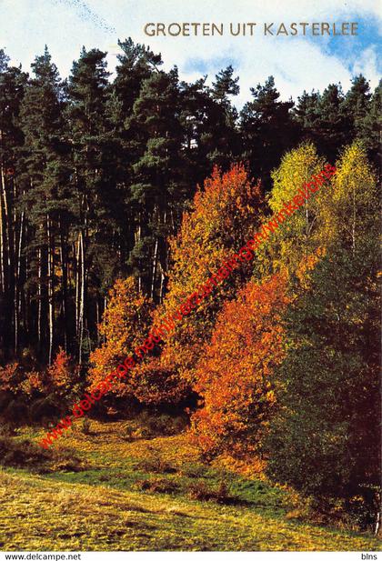 Groeten uit … - Kasterlee