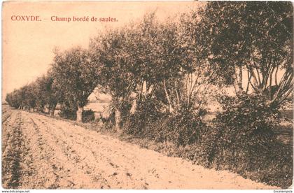 CPA Carte Postale Belgique Coxyde Champ bordé de saules  VM68479