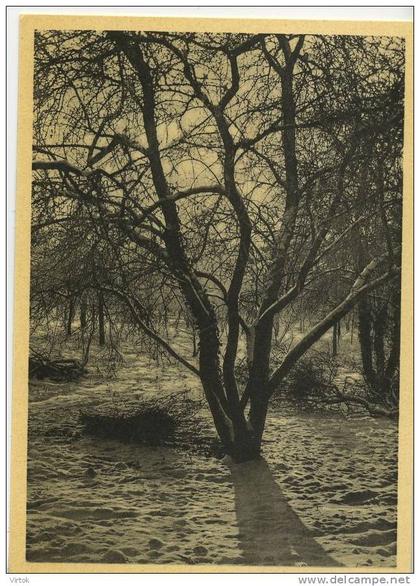 Kortenberg ´ Abdij Cortenberg ´  :  wintermorgen  ( groot formaat )