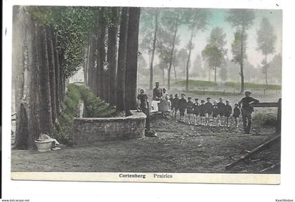 Kortenberg - Prairies.