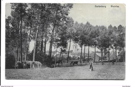 Kortenberg - Prairies.