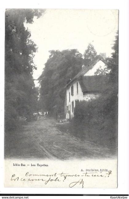 Libin-Bas - Las Hayettes.
