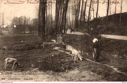 LINKEBEEK / PRAIRIE