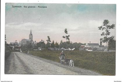 Lummen - Panorama.