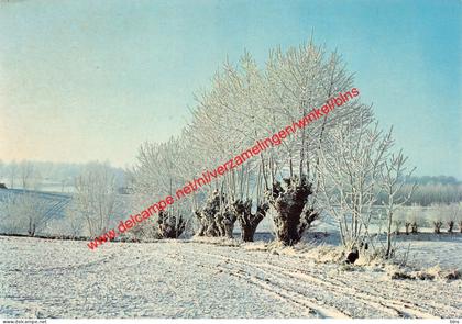 Vijf seizoenen - sneeuw - Nukerke