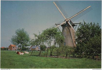 Molen - Malle-West - & windmill