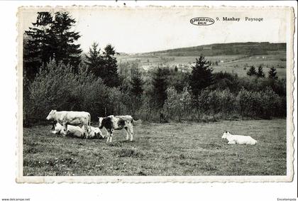 CPSM Carte postale-Belgique-Manhay Paysage VM28643