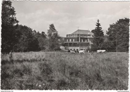 Manhay - Hôtel des Sources - & hotel