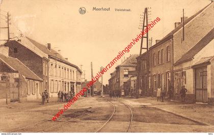Violetstraat - Meerhout