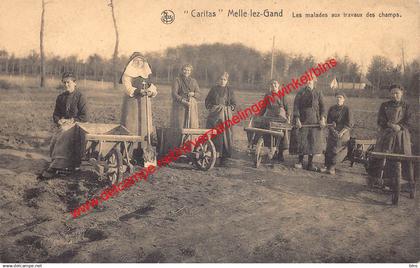 Melle-lez-Gand - Caritas - Les malades aux travaux des champs - Melle