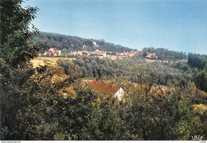CPM - KLUISBERG - MONT de l'ENCLUS - Panorama
