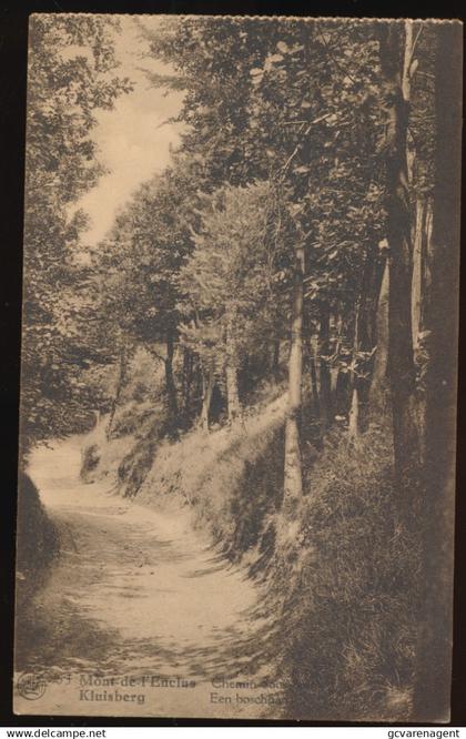 MONT DE L'ENCLUS    EEN BOSCH