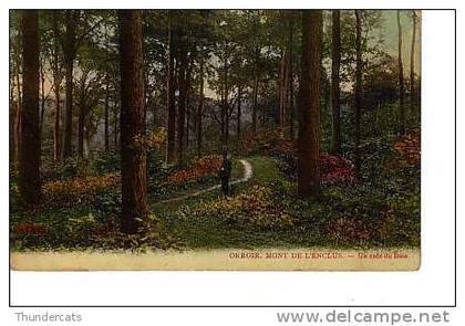 MONT DE L´ENCLUS   KLUISBERGEN UN COIN DU BOIS ORROIR