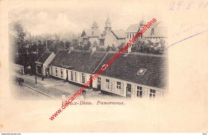 Vieux-Dieu - Panorama - Mortsel