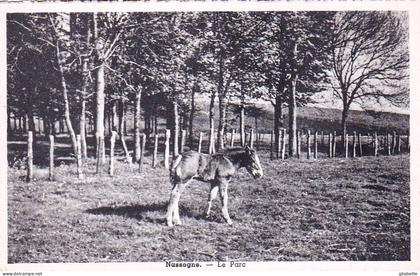 NASSOGNE - le parc