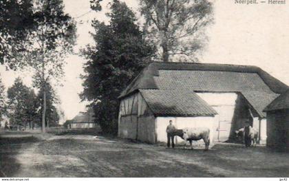 neerpelt