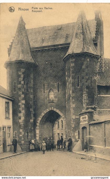 NINOVE   KOEPOORT   2 SCANS