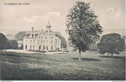 [-50%] Belgique - chateau de Libois - Edit. N Laflotte  -  Carte Postale Ancienn