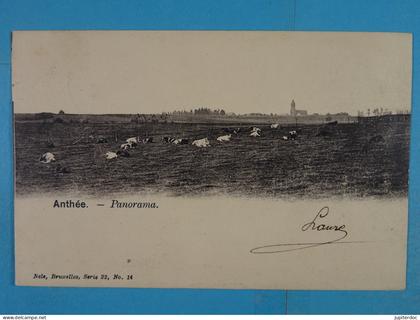 Anthée Panorama