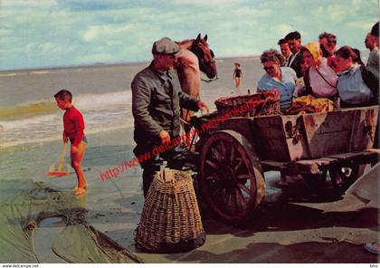 Garnaalvisser - Oostduinkerke