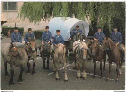 Opwijk - St. Pauluspaardenprocessie - & horse