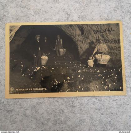 Foix lez Caves (Orp - Jauche // Grandes Champignonnieres - Retour de la Cueillette 19??