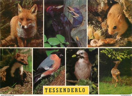 Belgium Tessenderlo
