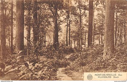 BR55721 Mont de L Enclus Bois Kluiberg bosch belgium