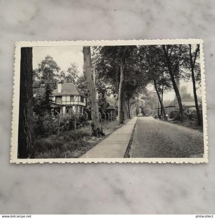 Oud - Turnhout // Zwaneven (Tram Halte) 19??