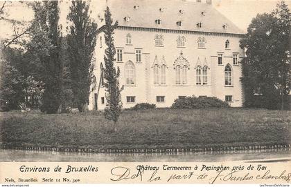 BELGIQUE - environs de Bruxelles - Château Termeeren - Pepinghen - Hai - Nels - Oblit 1902 - Carte Postale Ancienne