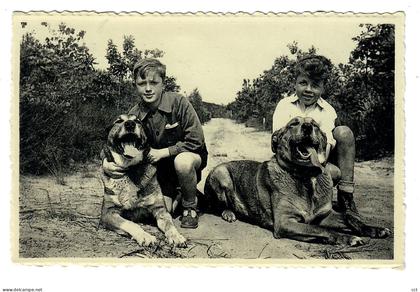 Wesemael  Wezemaal  Rotselaar   Le dernier couple des Matins Géants Belges  CHIEN