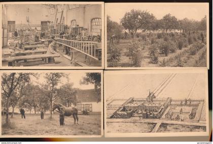 RUISELEDE RIJKSOPVOEDINGSGESTICHT. 20 KAARTEN