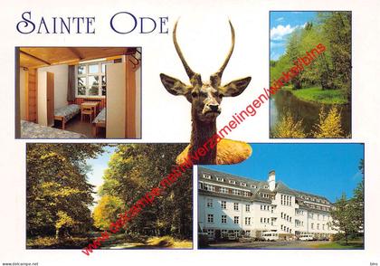 Aviscourt - Vakantiecentrum der Kristelijke Mutualiteiten - Sainte-Ode