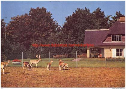 Hertenpark Hof ter Linden - 's Gravenwezel Schilde