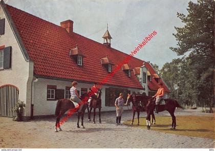 Hof ter Linden  -'s Gravenwezel - ruitersport - Schilde