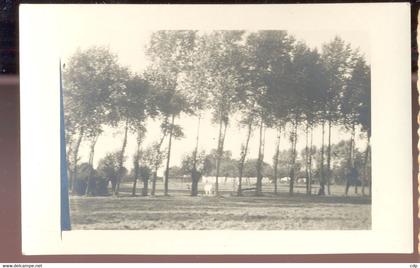 carte photo  seneffe